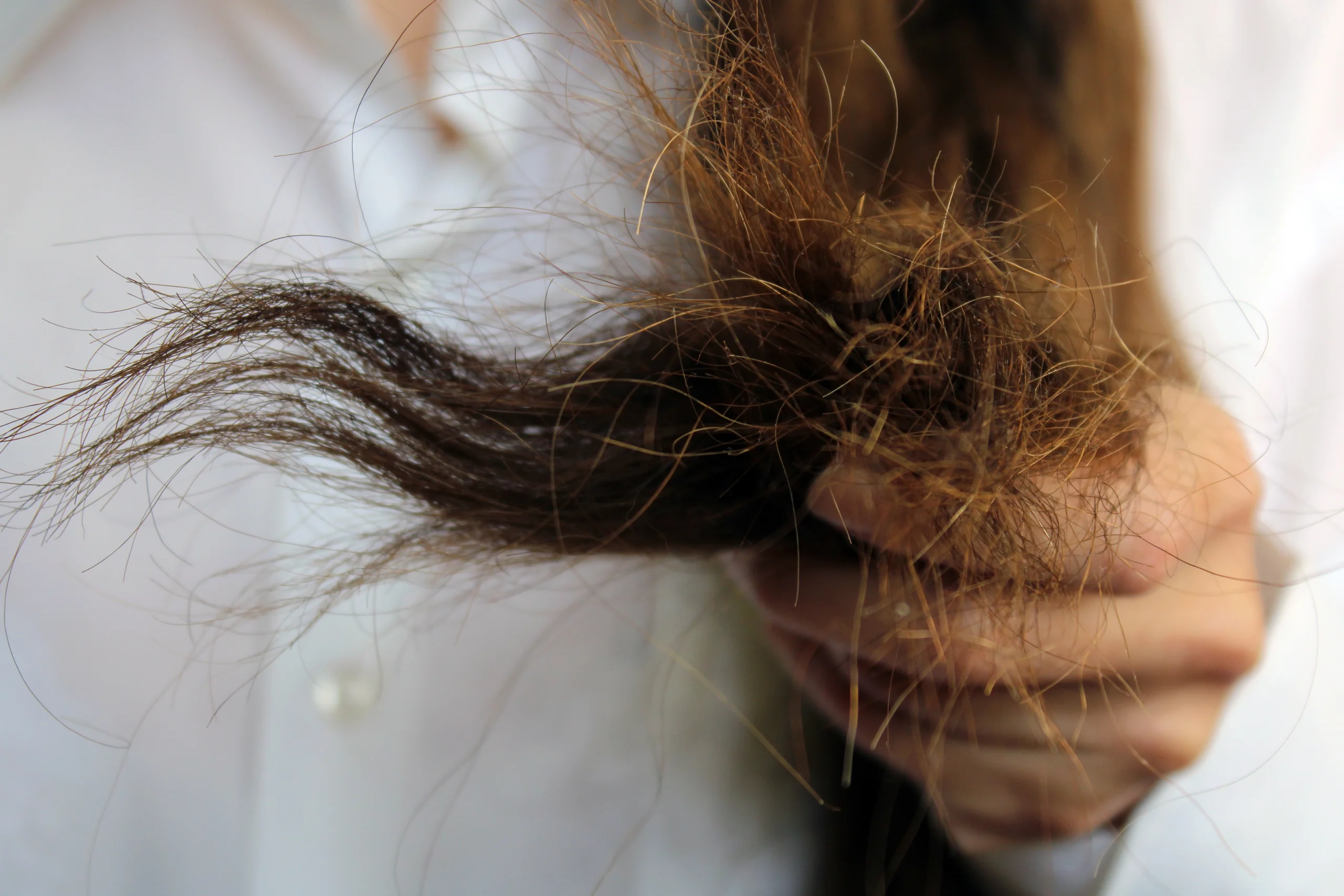 Nahaufnahme von braunen, trockenen Haaren mit Spliss, die von einer Hand gehalten werden.