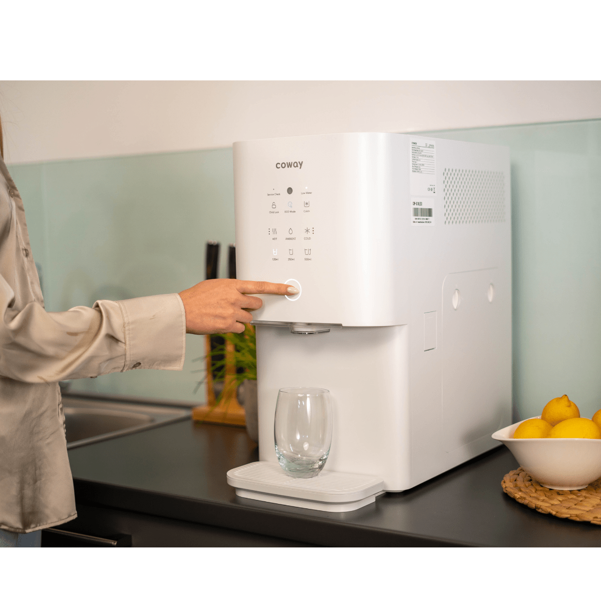 Coway CHP 6310L Abnahme